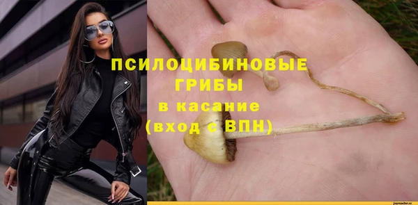 гидра Бронницы