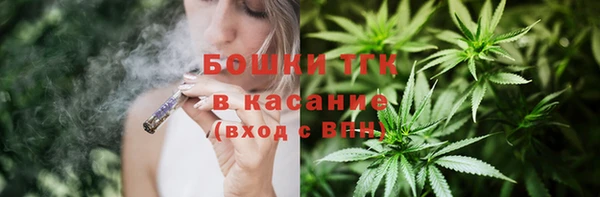гидра Бронницы