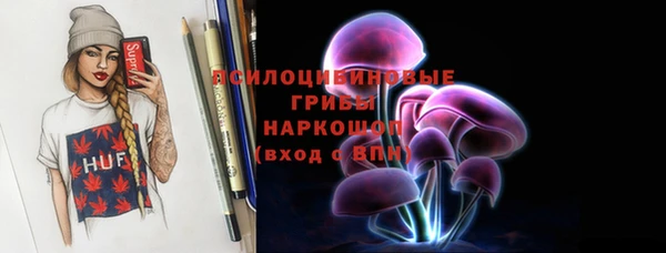 гидропоника Бородино