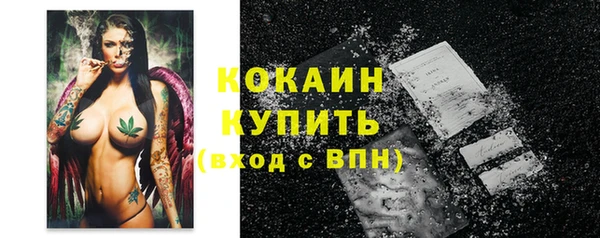 гидропоника Бородино