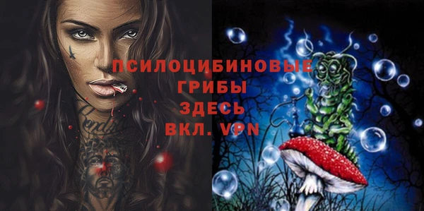 МДПВ Губаха