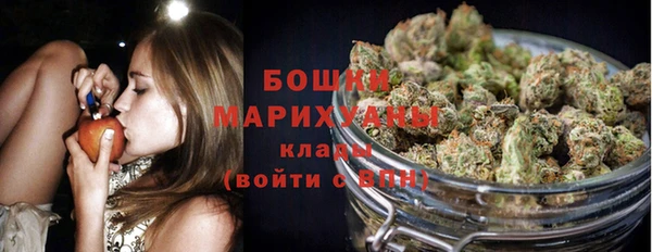 гидропоника Бородино