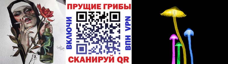 Псилоцибиновые грибы ЛСД  Кузнецк 