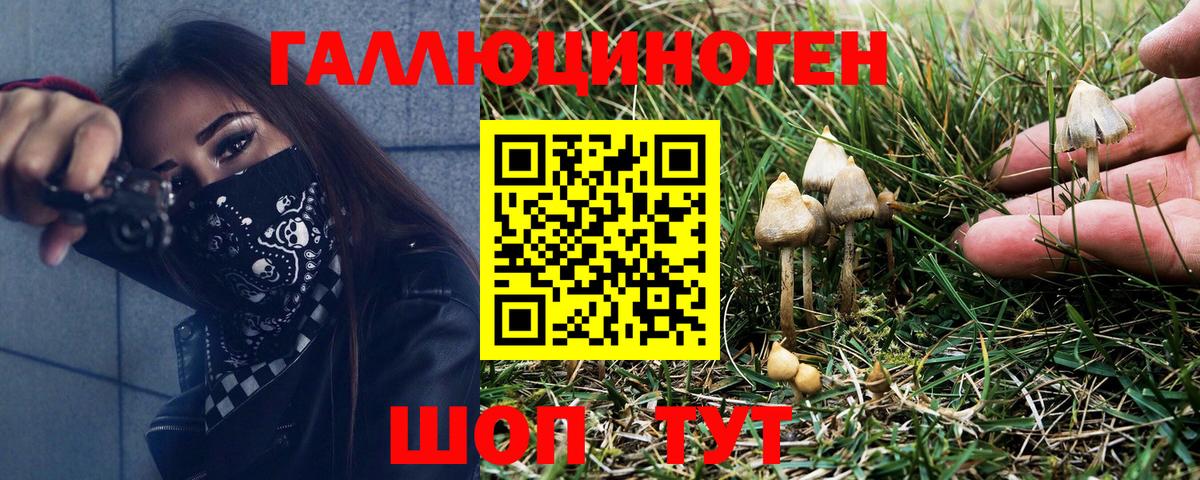 цены   Псилоцибиновые грибы ЛСД  Кузнецк  Вход с VPN  Псилоцибиновые грибы Cubensis 