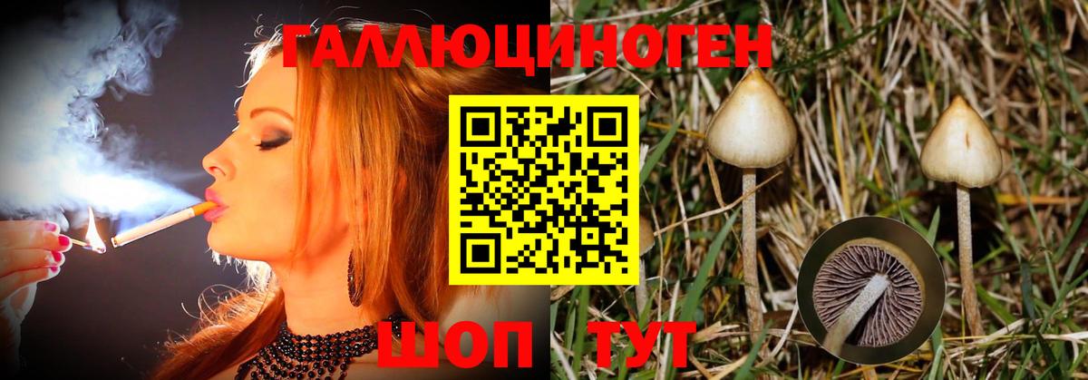 Галлюциногенные грибы GOLDEN TEACHER Кузнецк