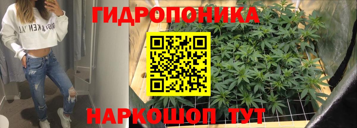 Бошки марихуана конопля  Вход с VPN  Кузнецк  Шишки марихуана Bruce Banner  Конопля ГИДРОПОН 